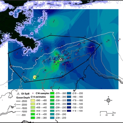Using Natural Abundance Radiocarbon To Trace The Flux Of Petrocarbon To The Seafloor Following The Deepwater Horizon Oil Spill