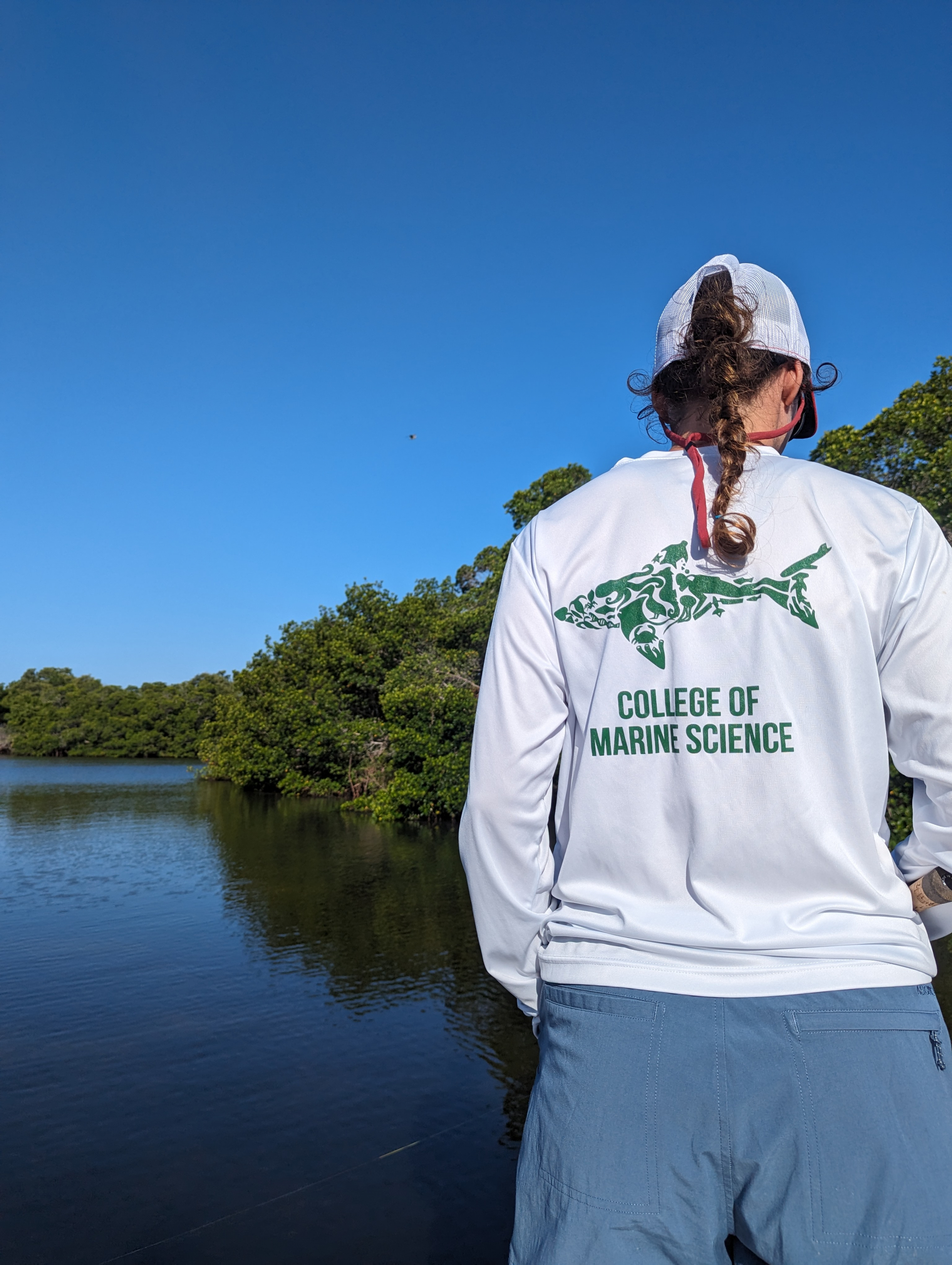 The back of a College of Marine Science t-shirt with shark logo 