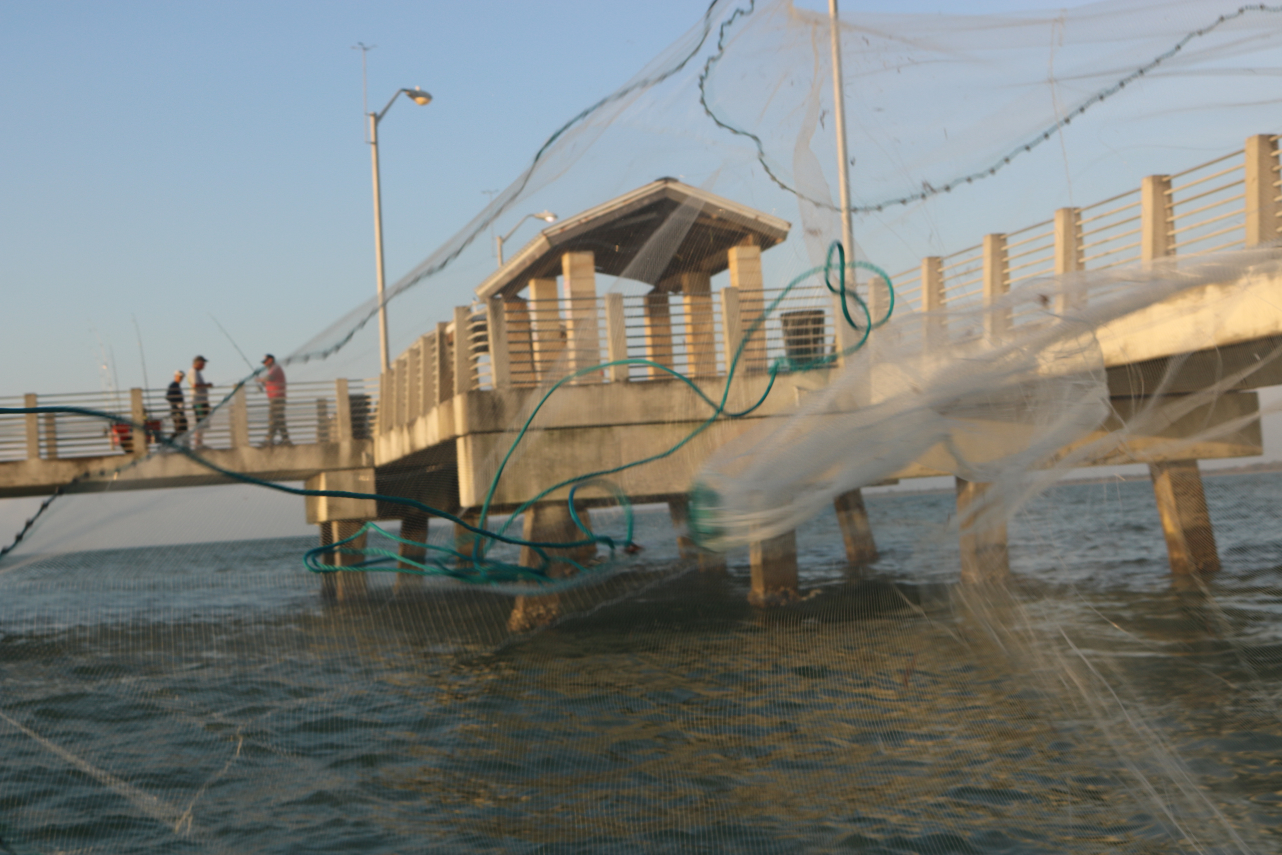 Early morning cast netting on Tampa Bay