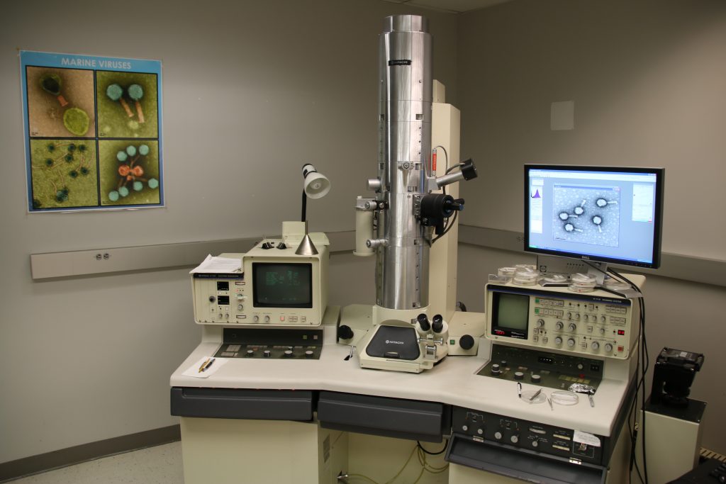 Electron Microscopy Laboratory – USF College of Marine Science